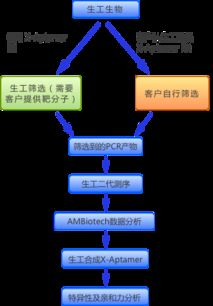 生工生物推出核酸適配體篩選試劑盒與服務，預訂享6折優惠